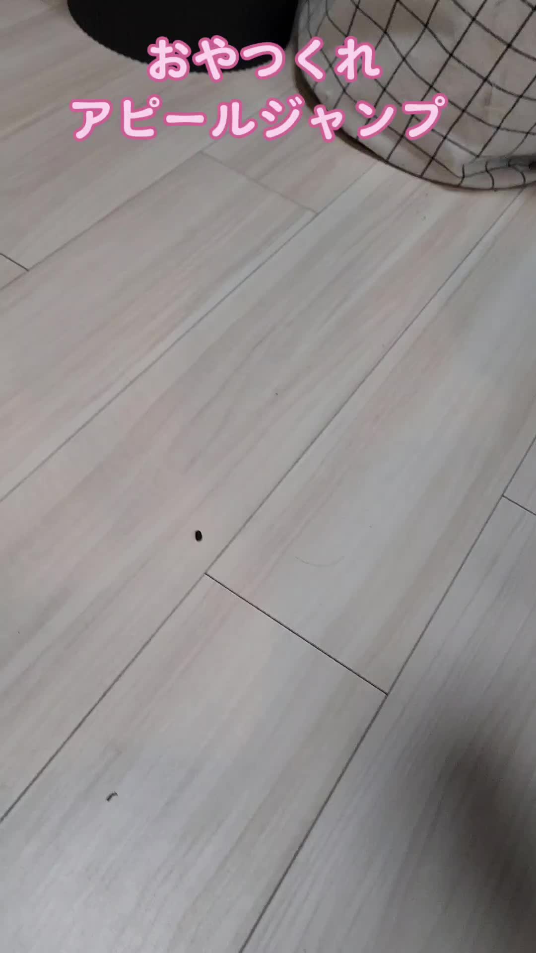 @チンチラプー子