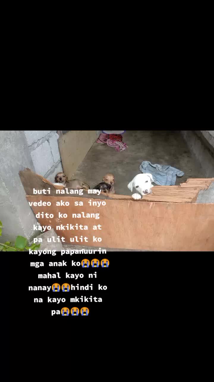 @Ate @Ana
