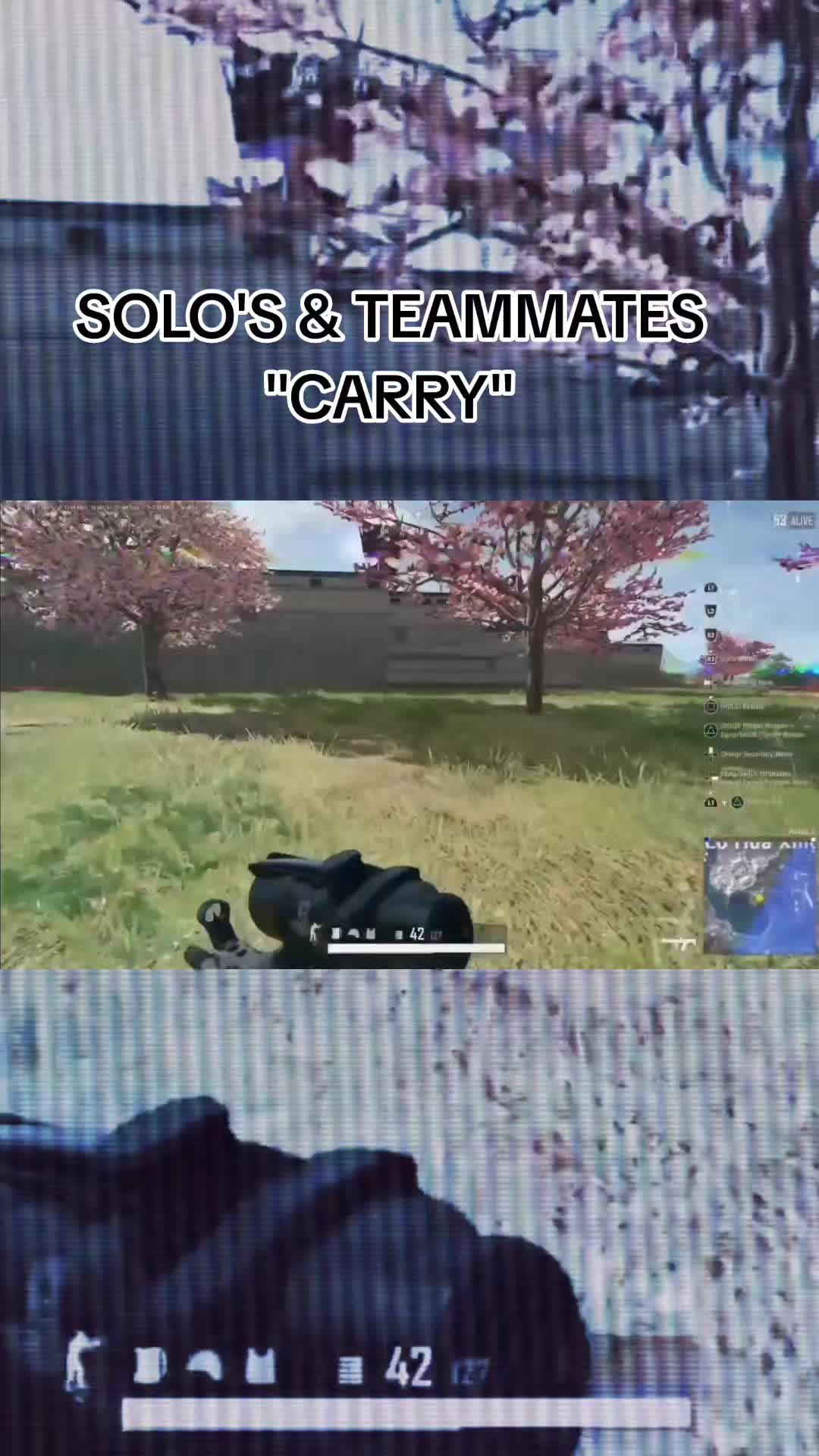@TGF