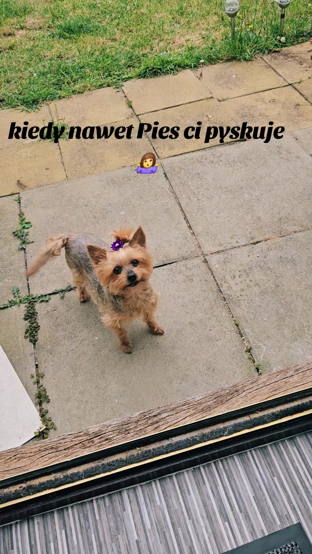 @Ewelina Bednarska