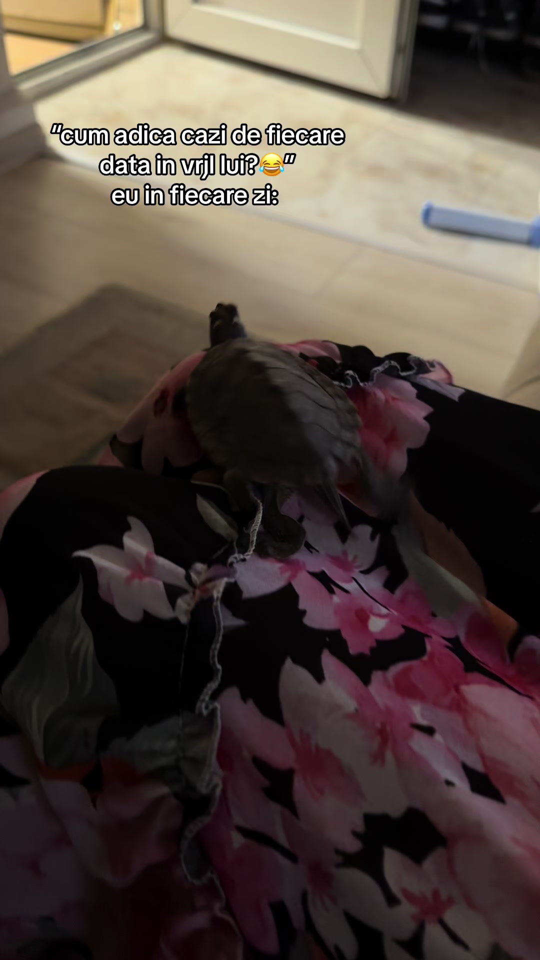 @mrss.alex