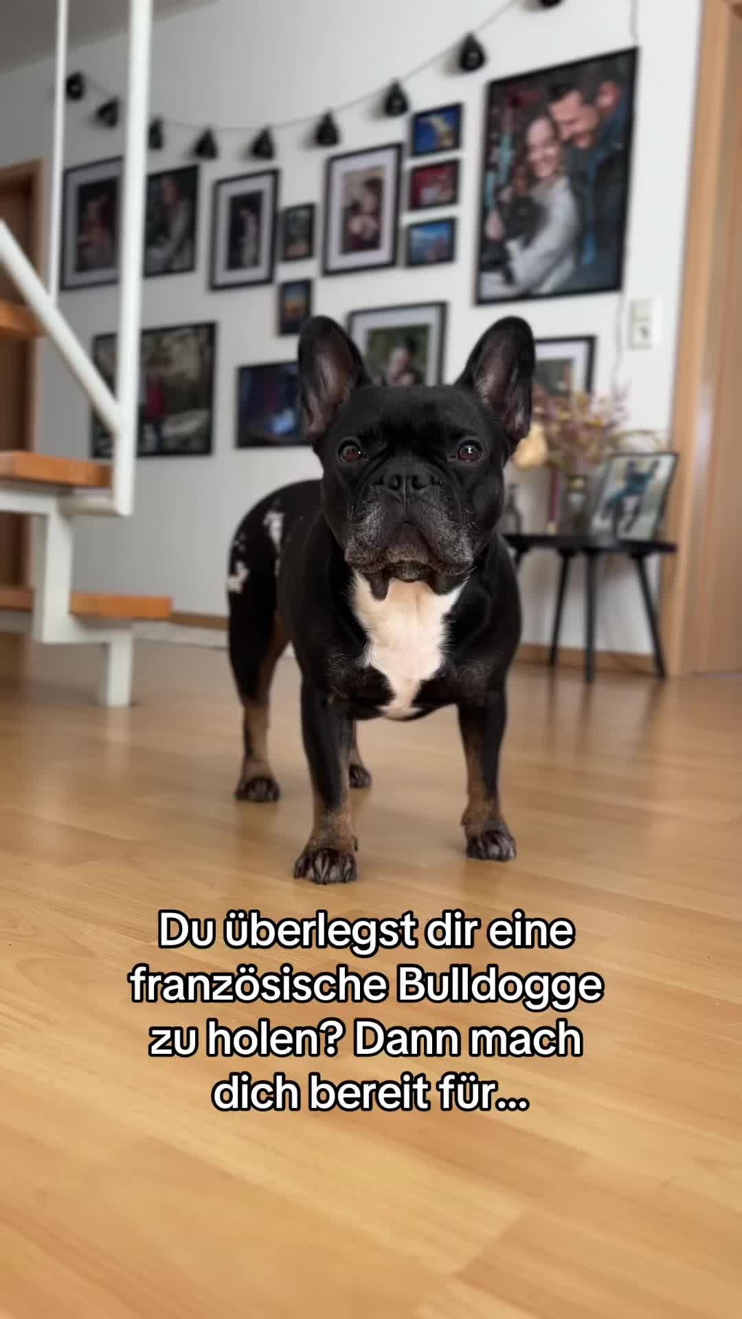 @Carlchenswelt