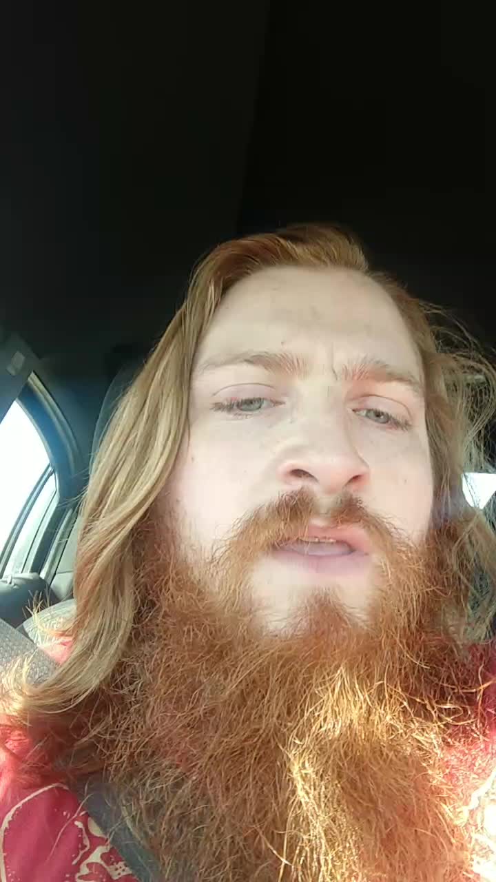 @Ginger Fodder