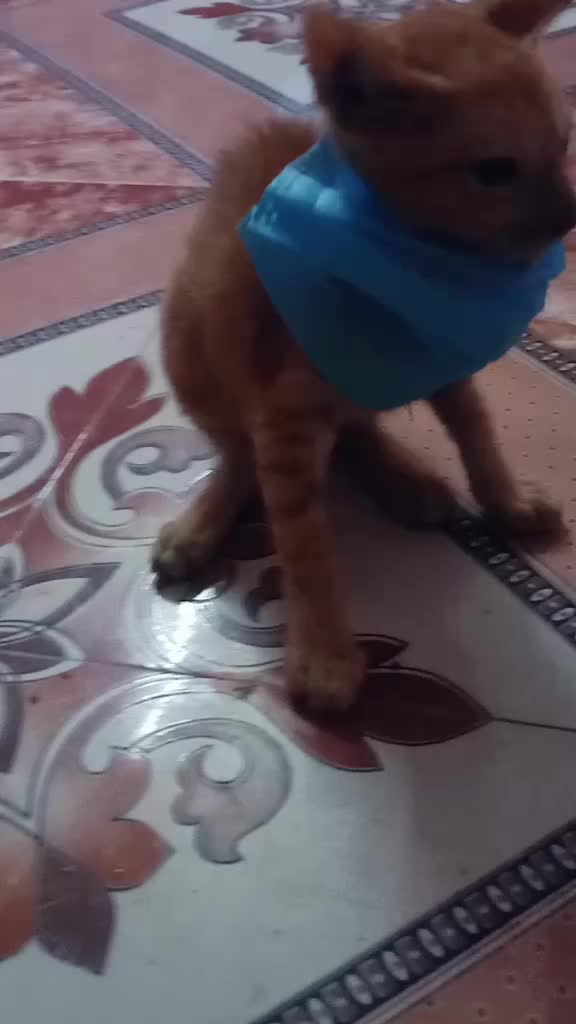 @raju140678