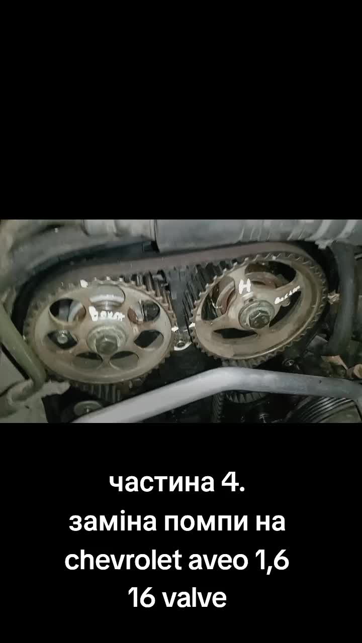 @motor's