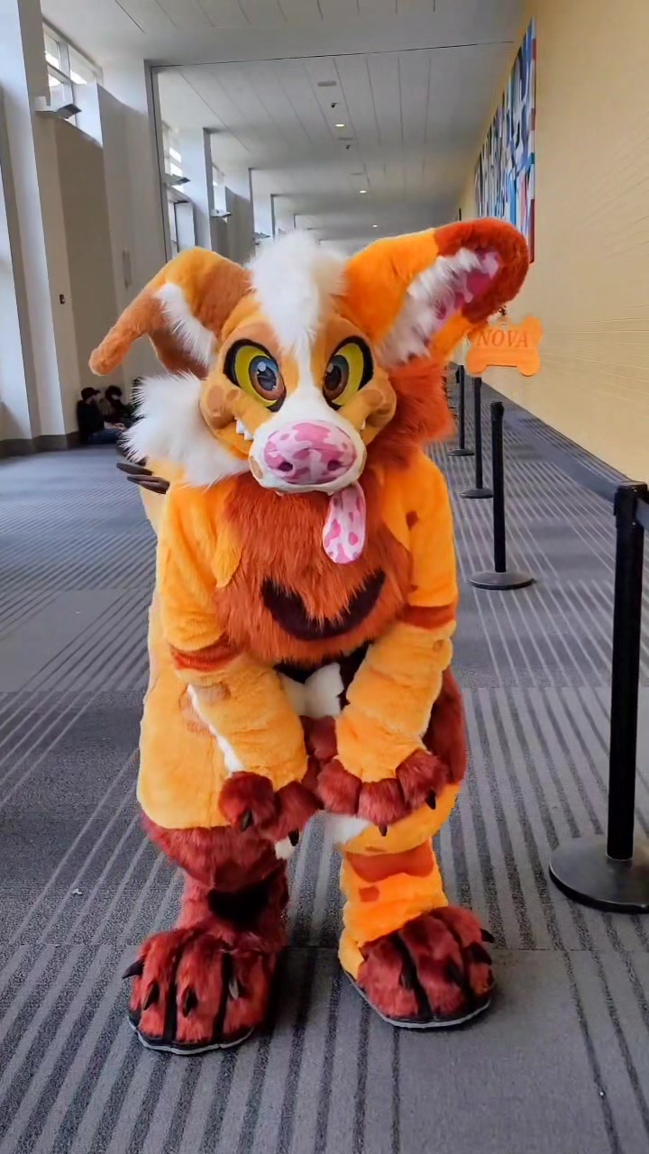 @Areyoufurwheels