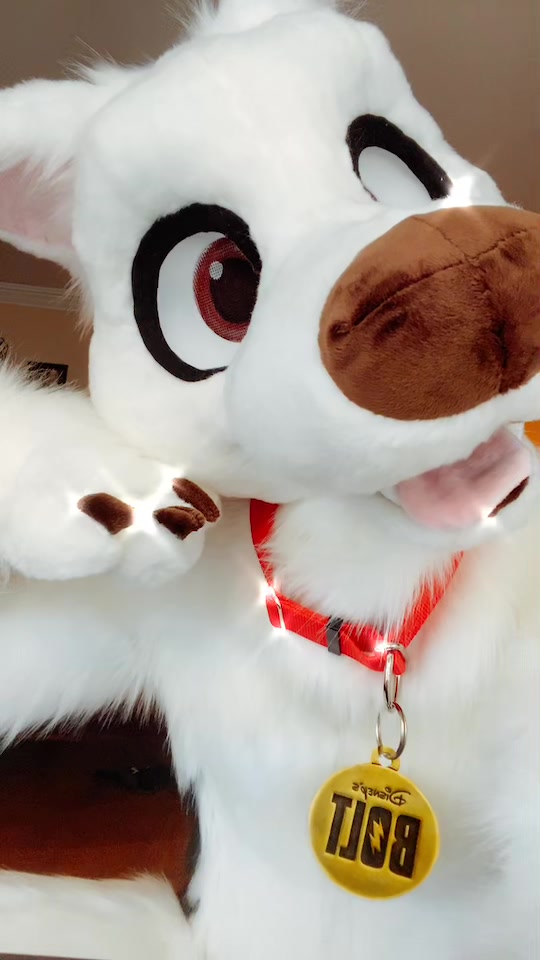 @Sharkyote (Bolt’s #1 fan)