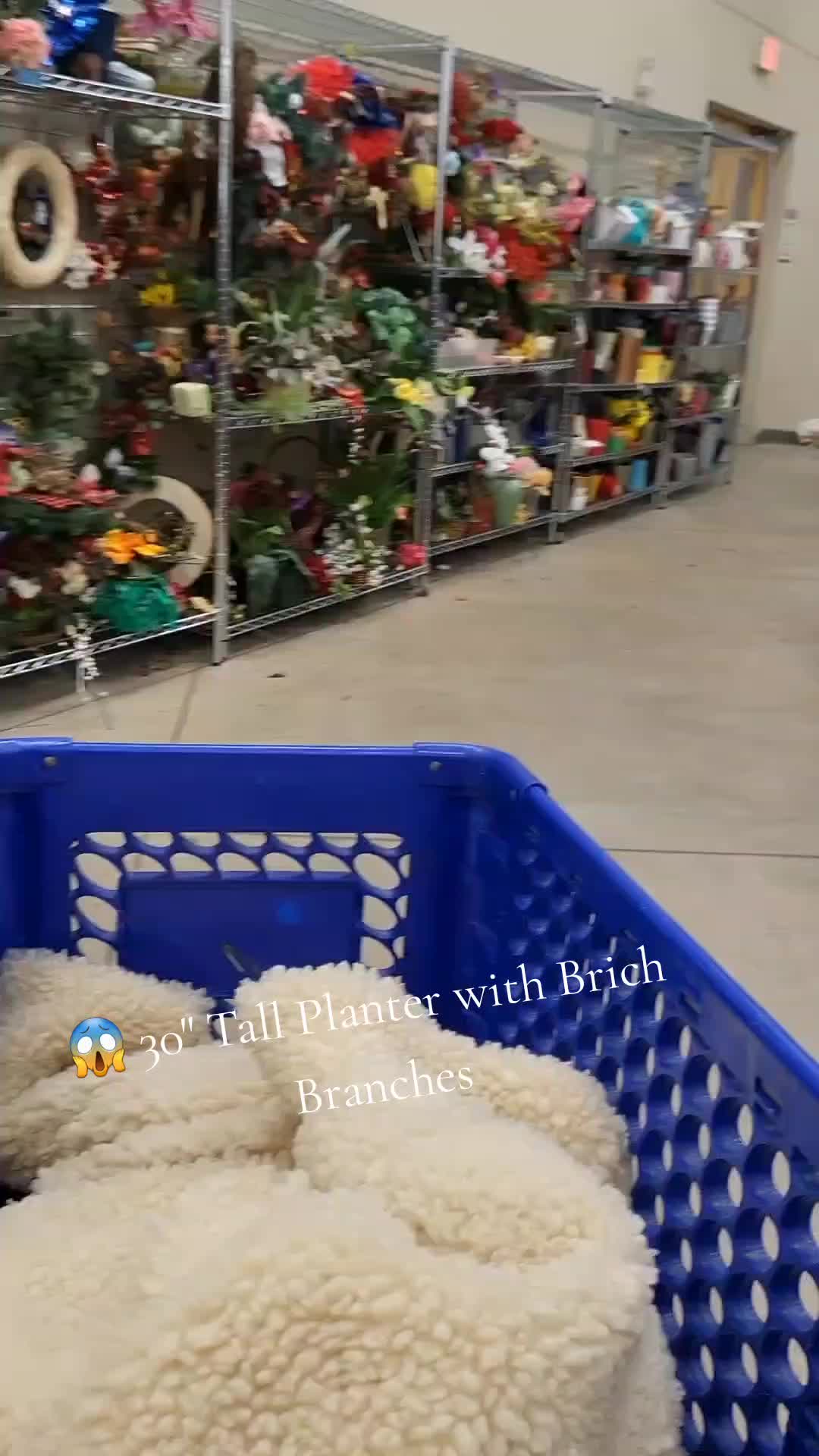 @Tanisha.