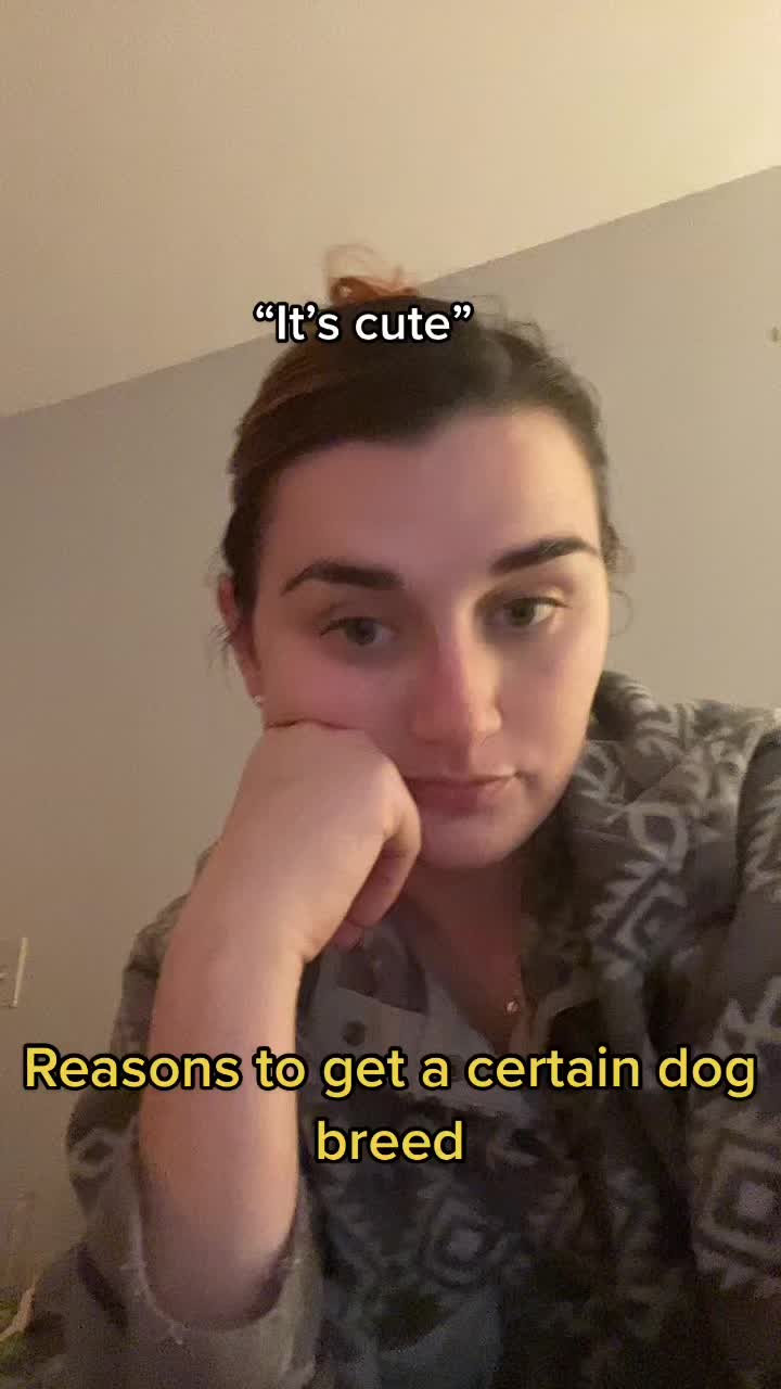 @sentientsparky