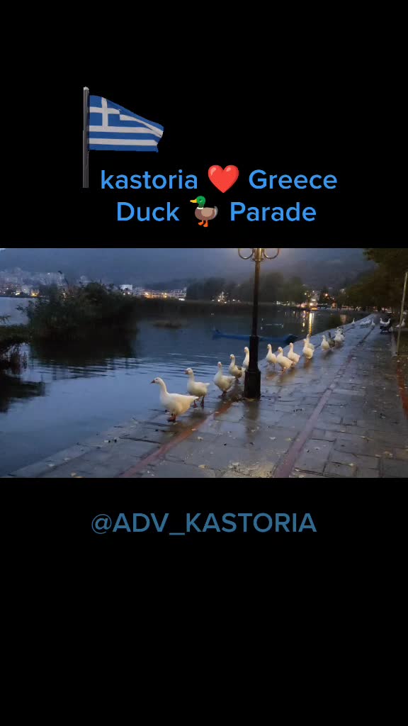 @PANIK DISCOVER MORE 🇬🇷