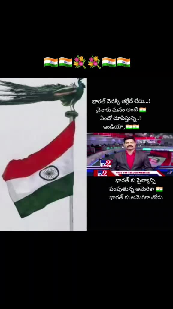 @saanvi Reddy 1