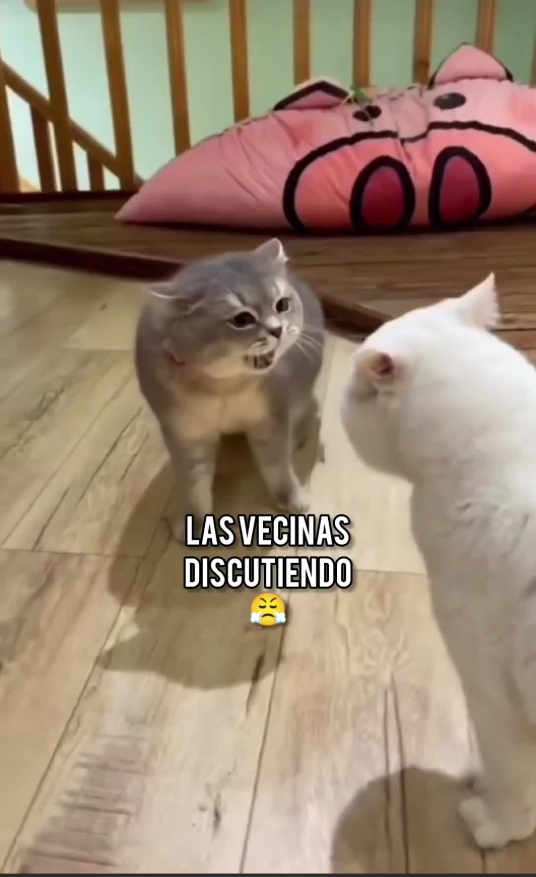 @JuniorHs💫