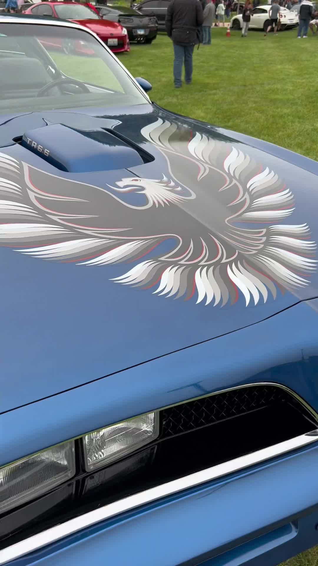 @Carguyvideos