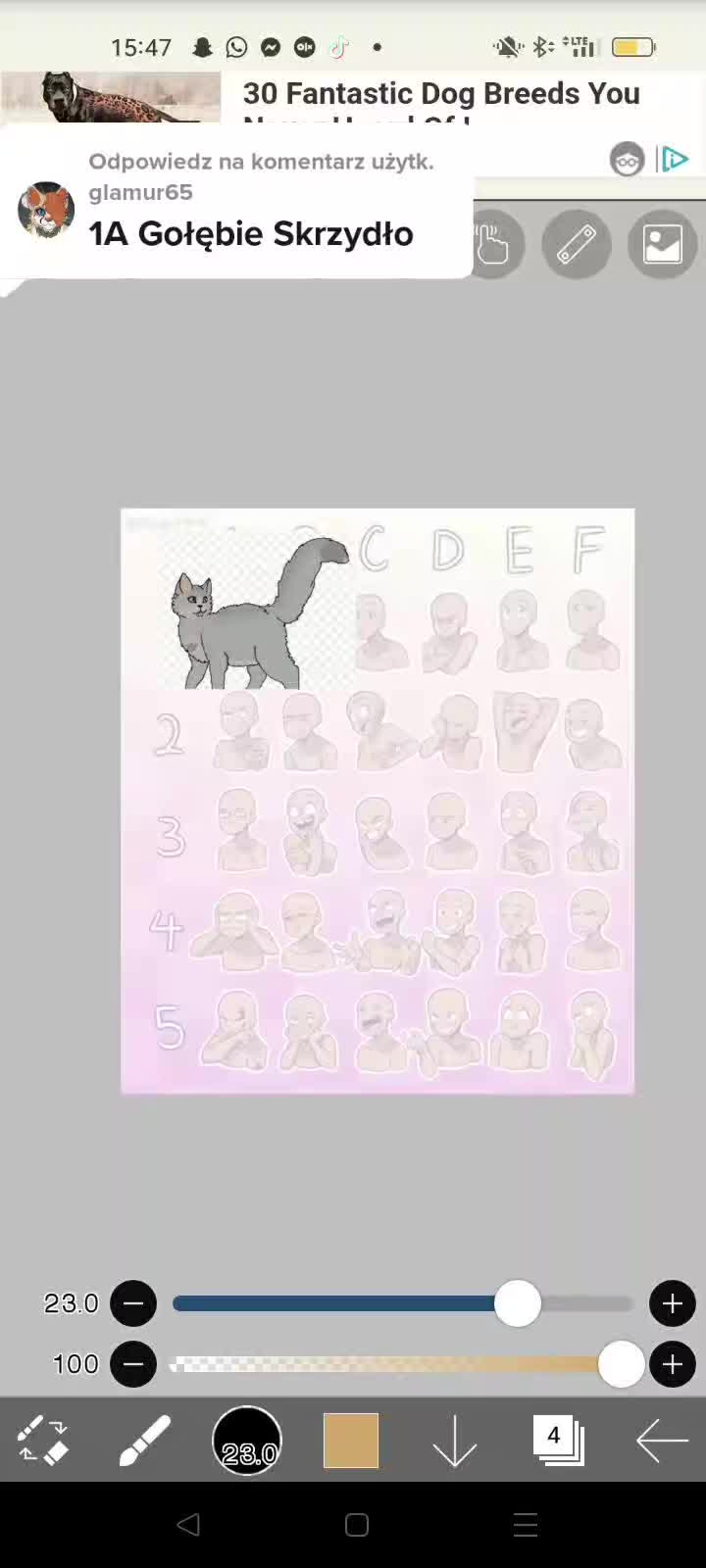 @lisi_spryt_wojaki