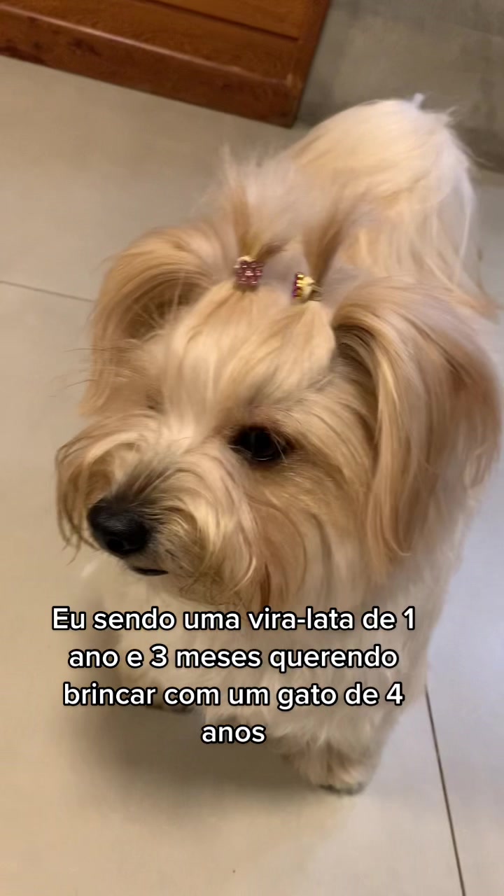 @Zara