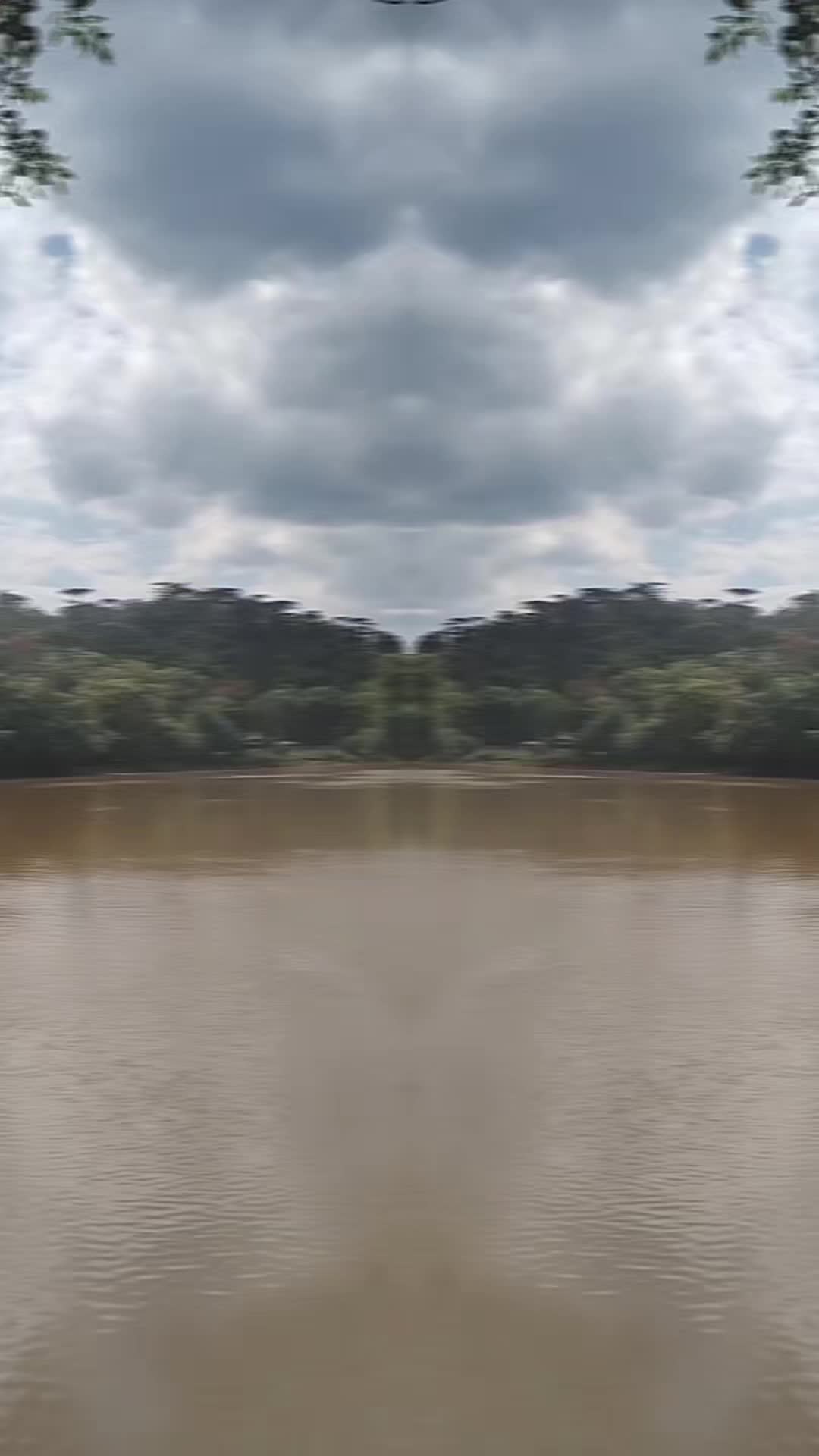 @Paulo Marcelo Silveira