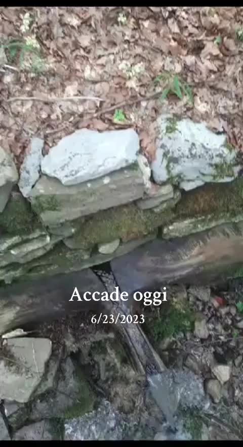@Angelo Mattoni