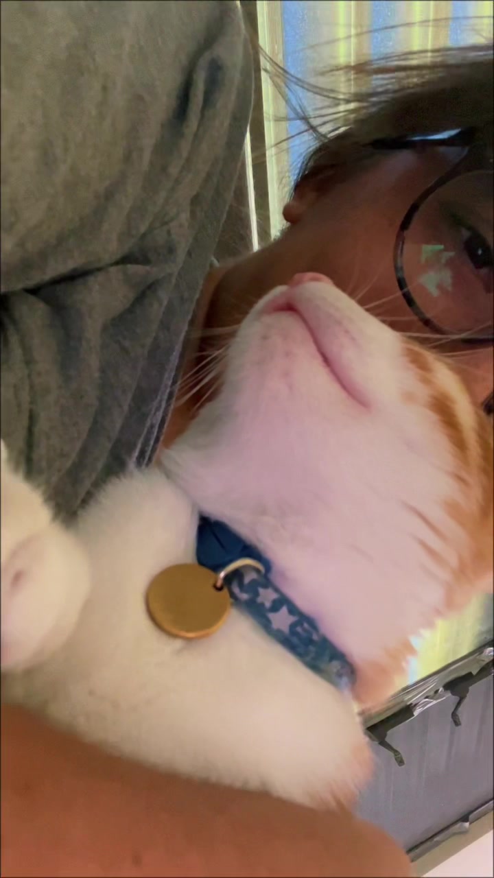 @The Fur Babies 🐈 🐈&zwj;⬛ 🐕
