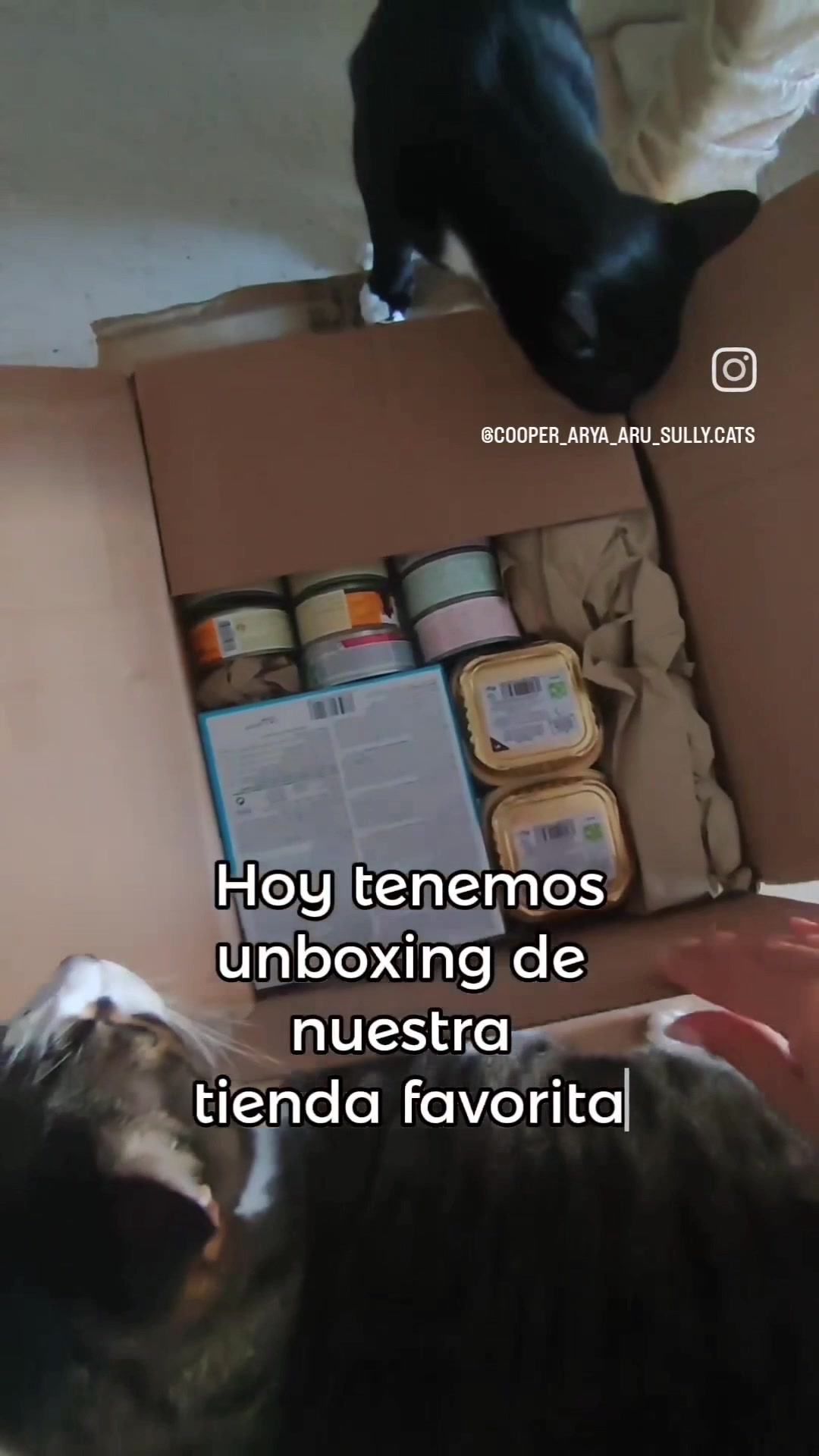 @Cooper, Arya, Aru y Sully 🐾