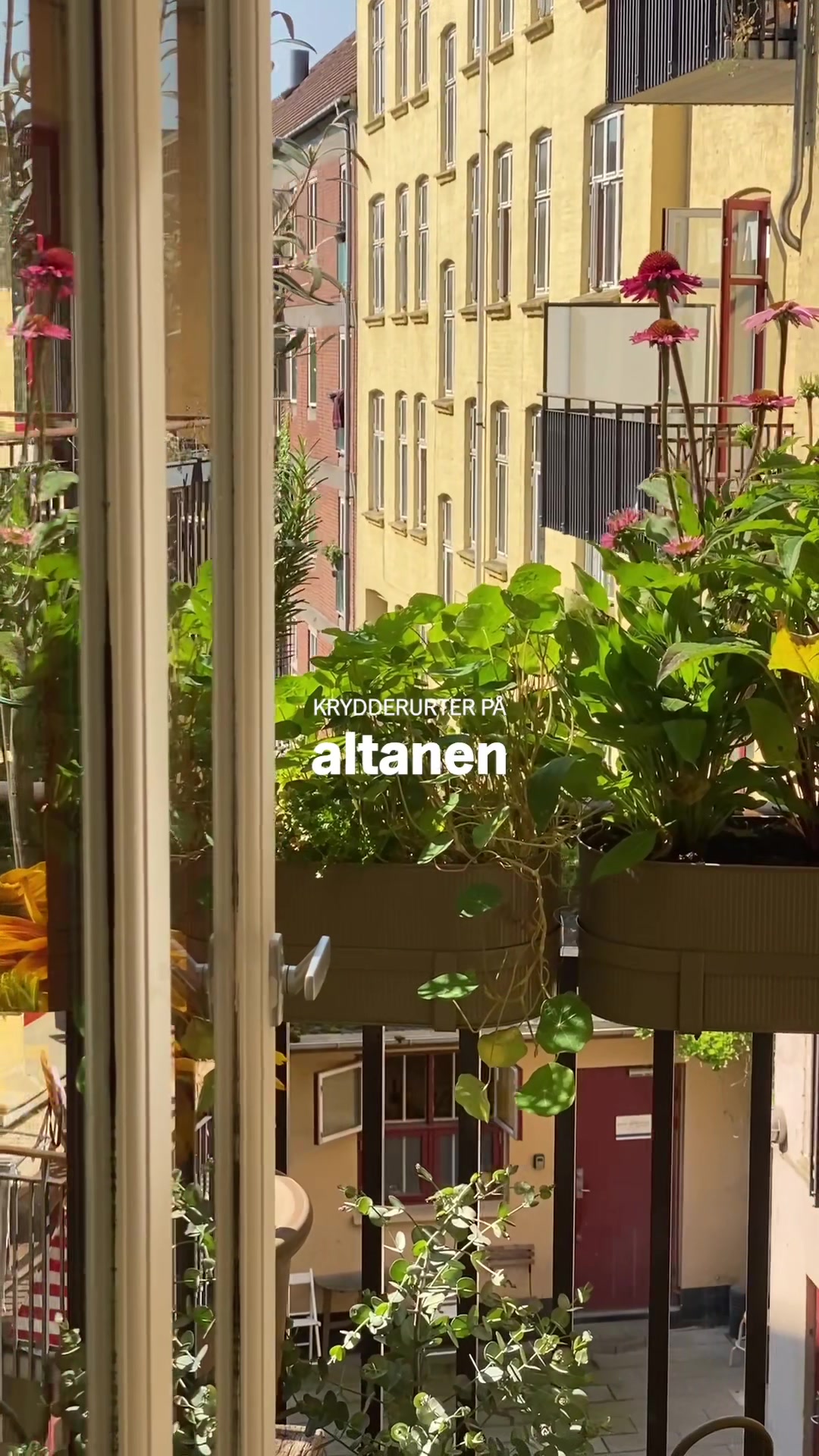 @Altan.dk