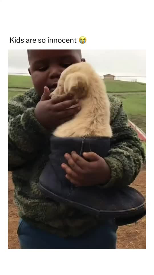 @Hilarious Laughs Hub