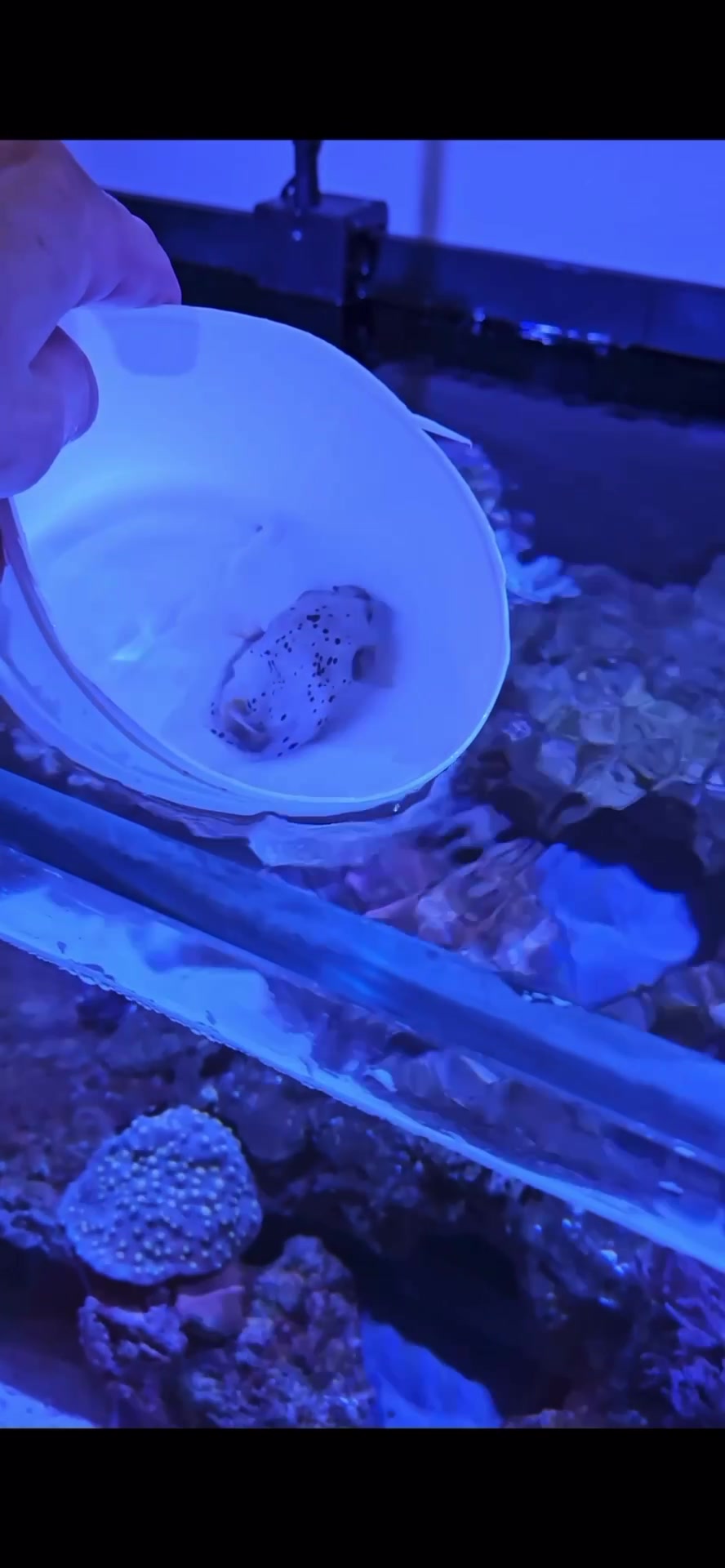 @aquarium_maintenance