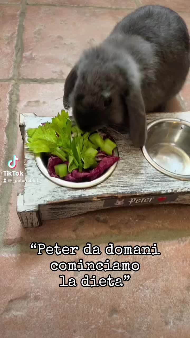 @Peter Rabbit