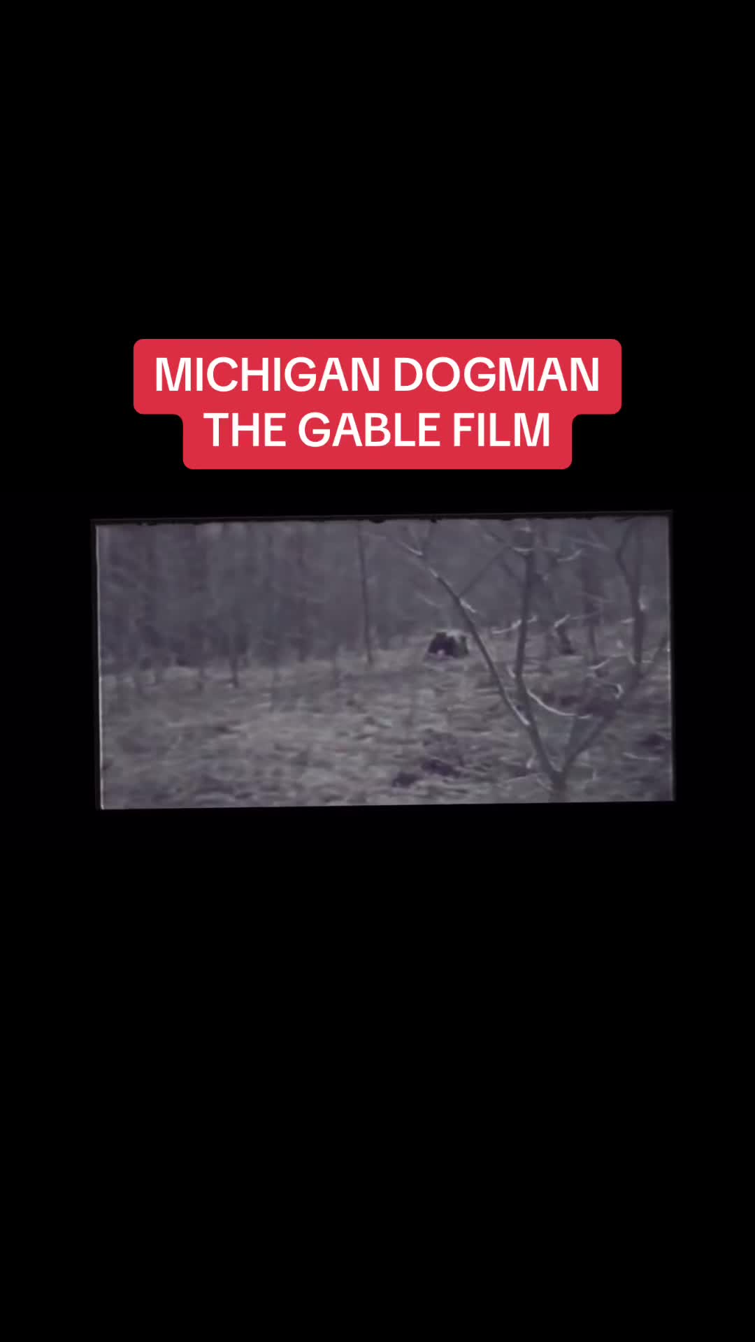 @Michigan Beer Taster