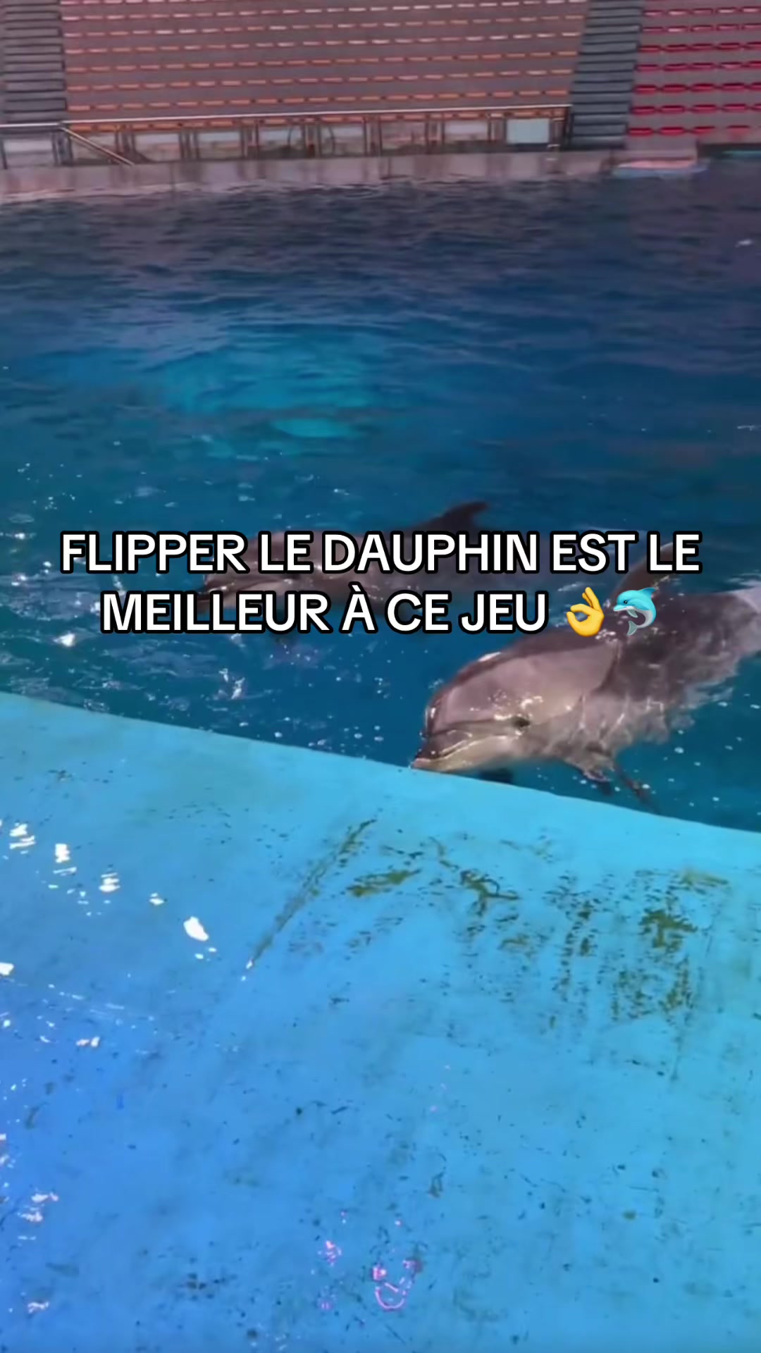 @OxarfisH ™