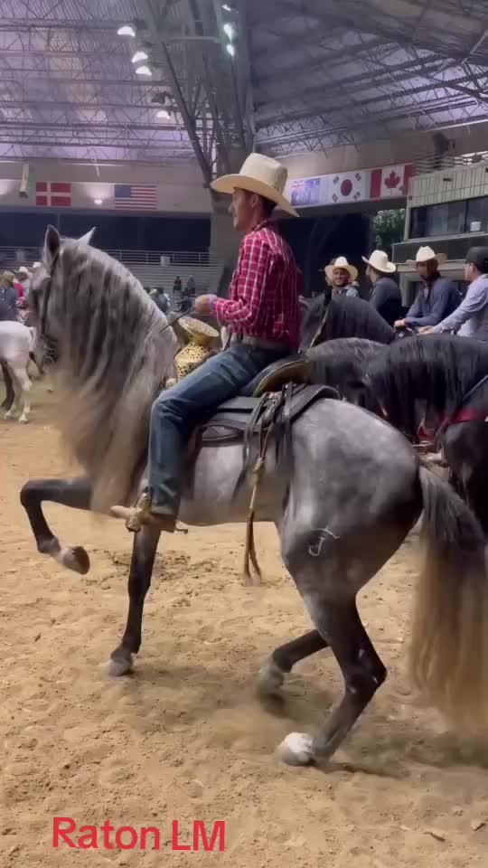 @yahirtorres6781