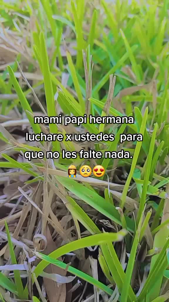 @esacrisperez
