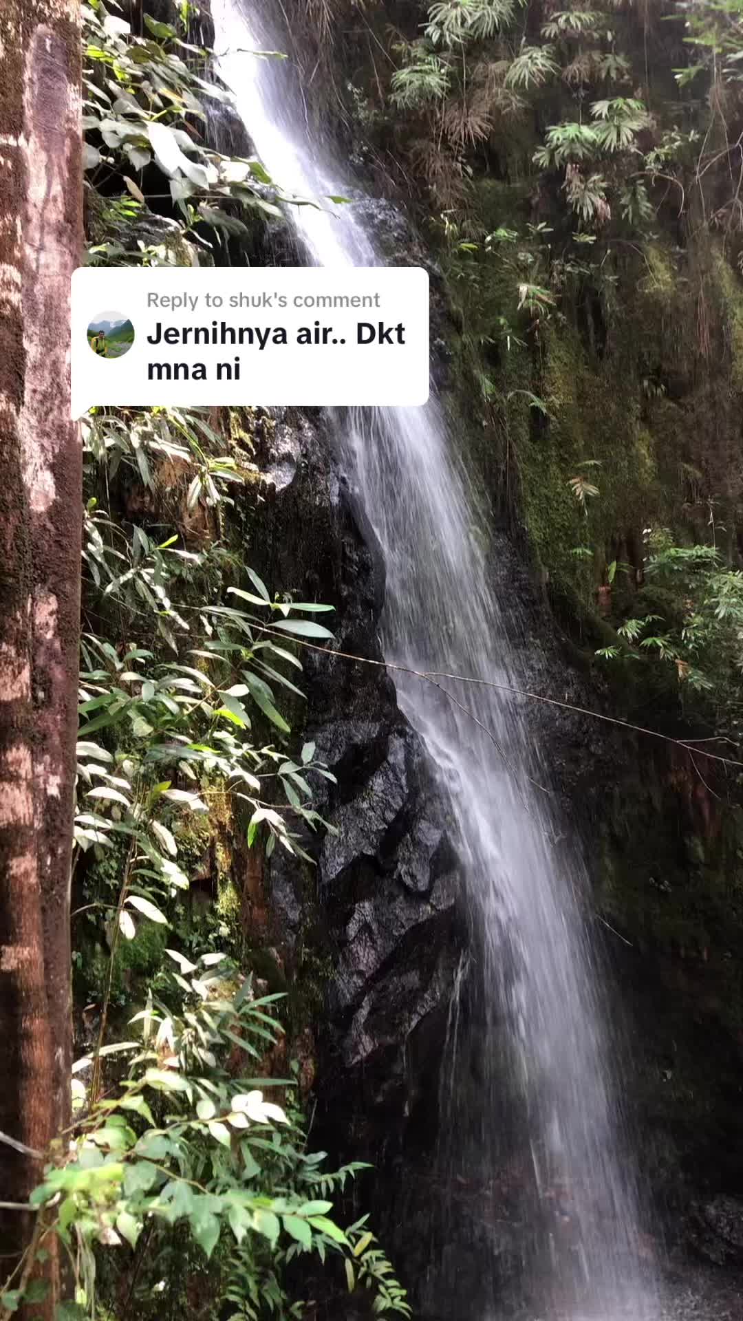@Atilaaaaa