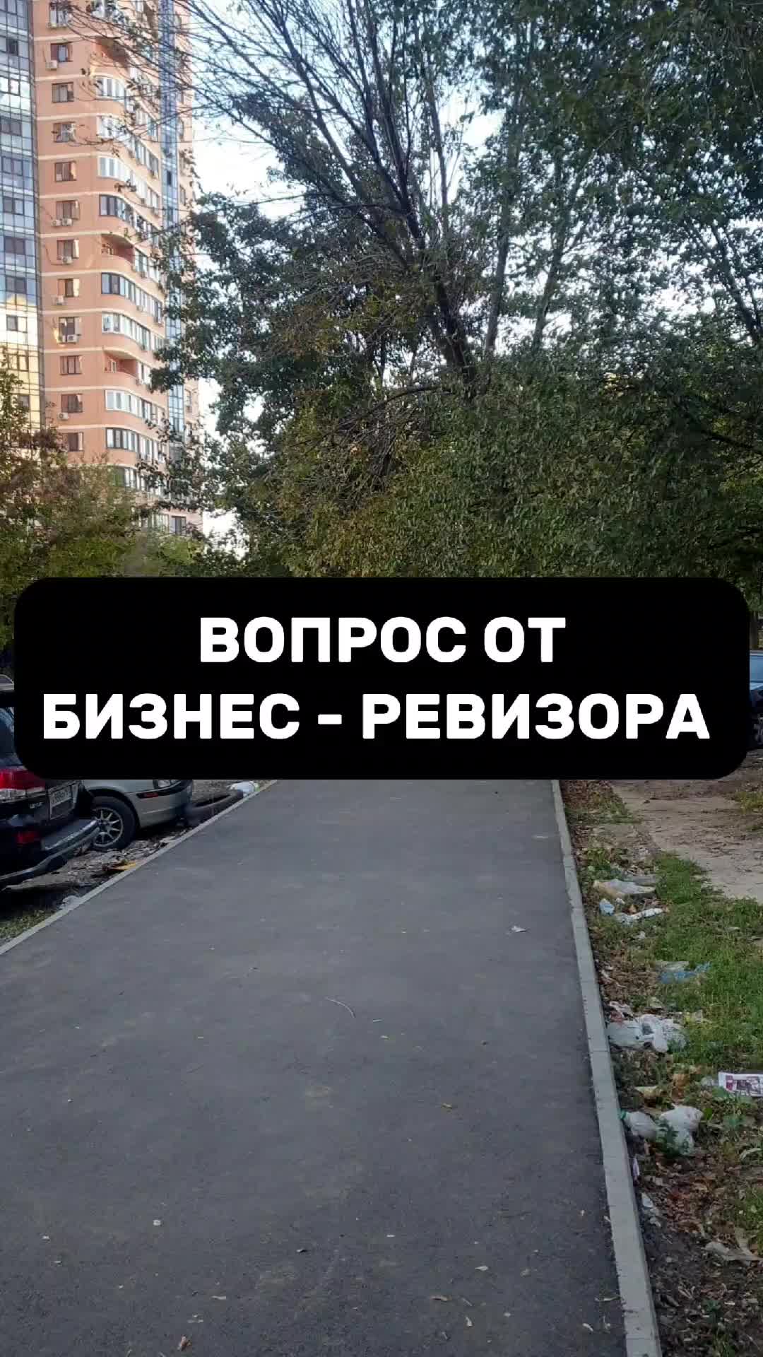@Бизнес-ревизор