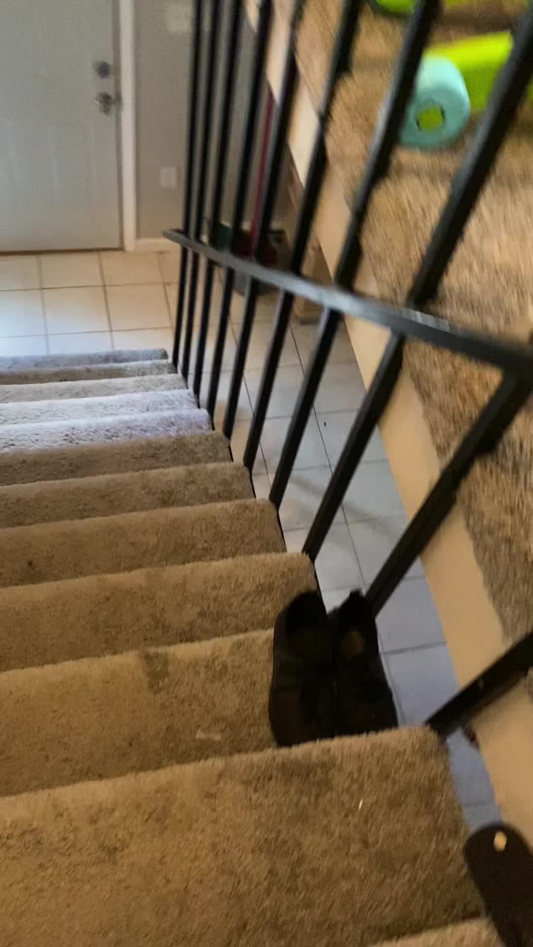 @moo_skiii