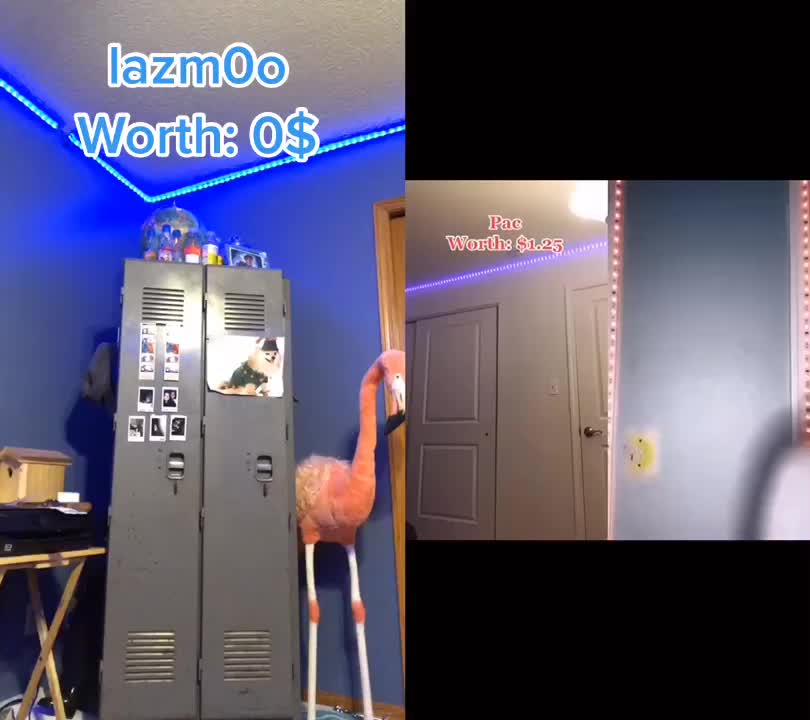 @lazm0o