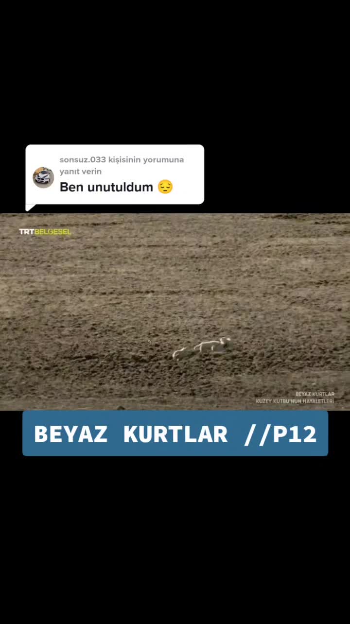 @Belgesel D&uuml;nyası 🌏
