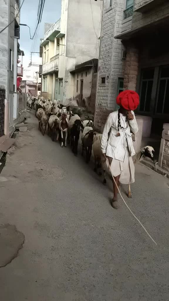 @⚡TEAM RAJASTHANI🔥