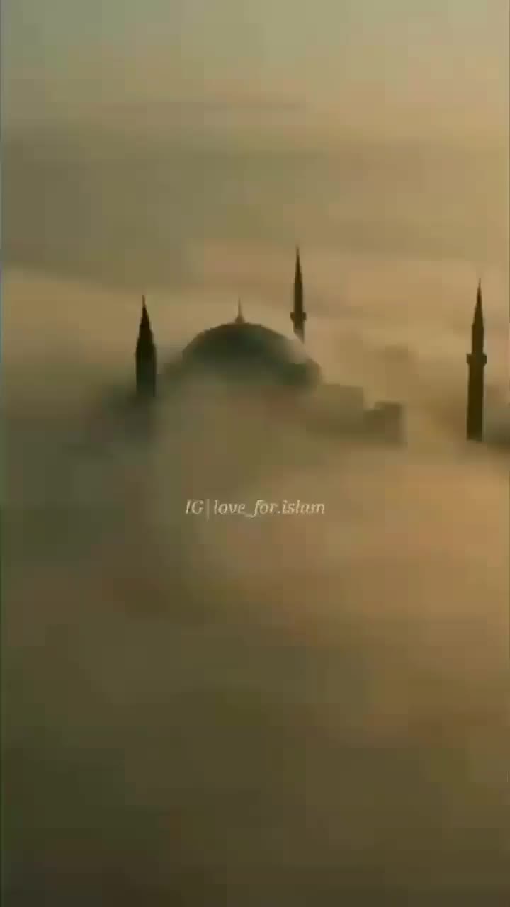 @Rajpoot Ali