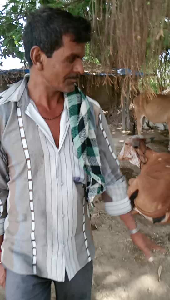 @bambhava kishan