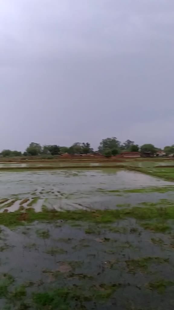 @Indu Jogi