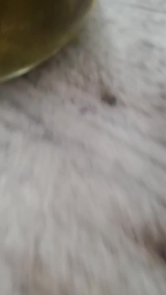 @Alyb0912