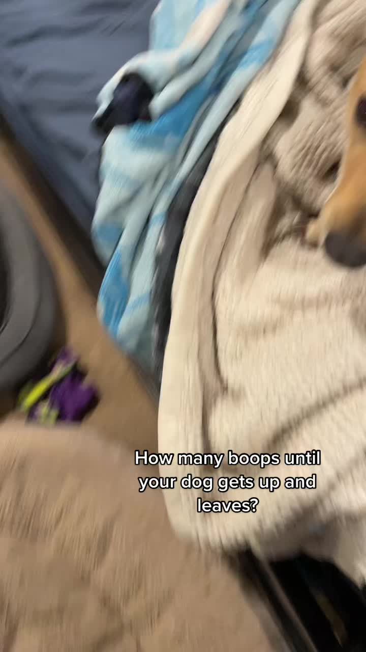 @Jenn