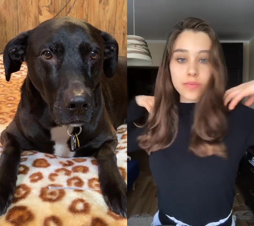 @Max the Pup