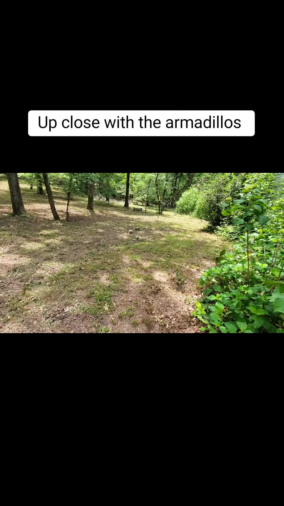 @JuJu Gen❌️