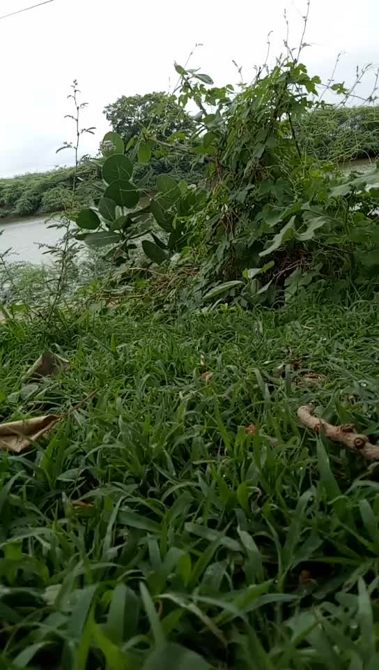 @mr_r.j.bhai1204