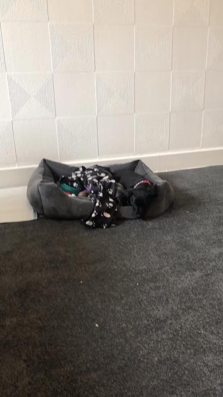 @natisharobertson18