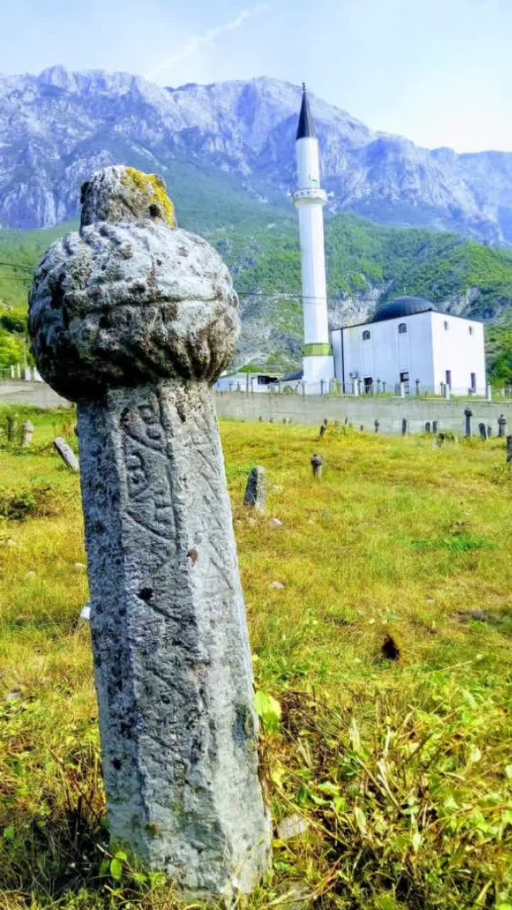 @Drežnica