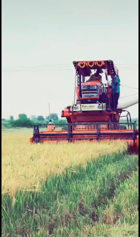 @Sai TEj manu darling