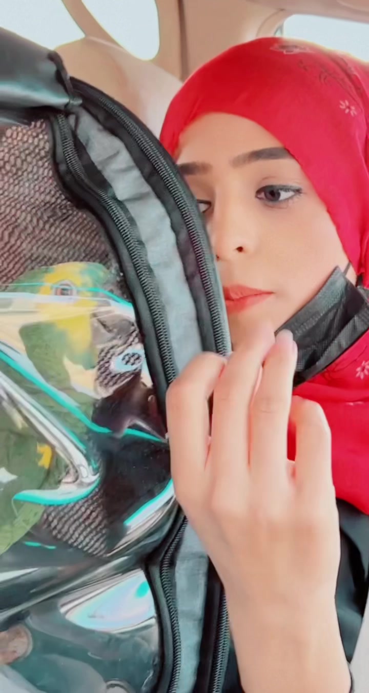 @Syeda Naqvi | “Birds Love”💕