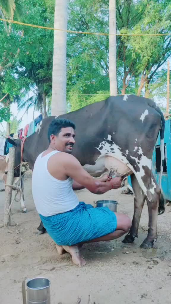 @siva